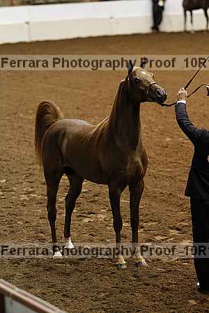 Proof Number 10r12_0428