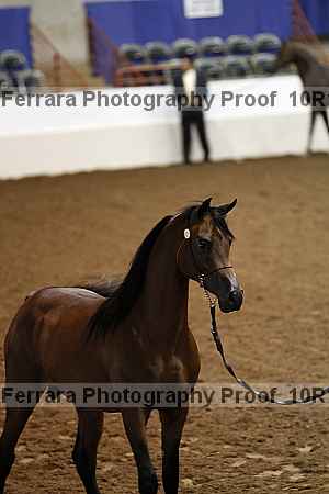 Proof Number 10r12_0434
