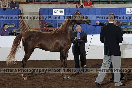 Proof Number 10r12_0436