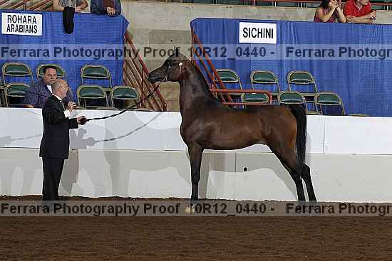 Proof Number 10r12_0440