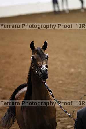 Proof Number 10r12_0441