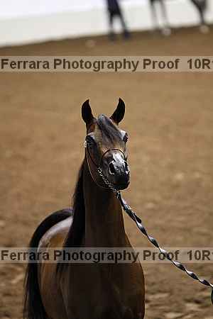 Proof Number 10r12_0442