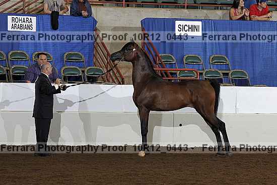 Proof Number 10r12_0443