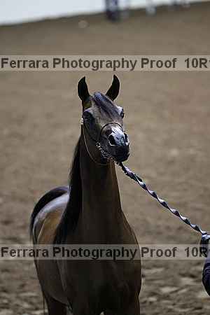 Proof Number 10r12_0444