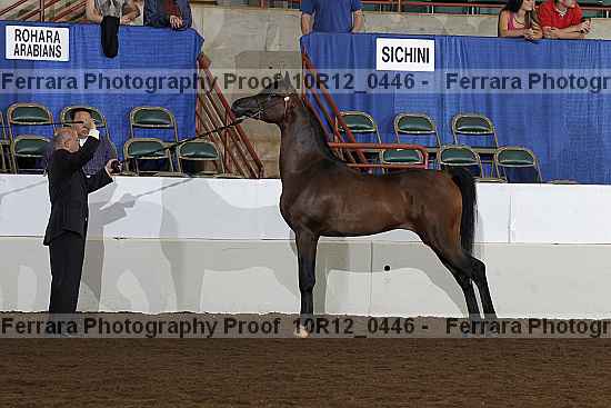 Proof Number 10r12_0446