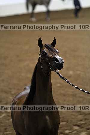 Proof Number 10r12_0447