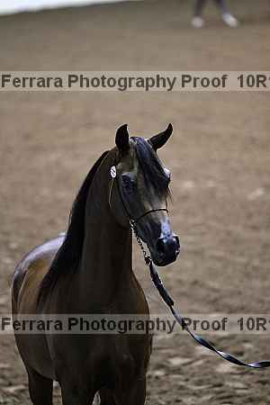 Proof Number 10r12_0448
