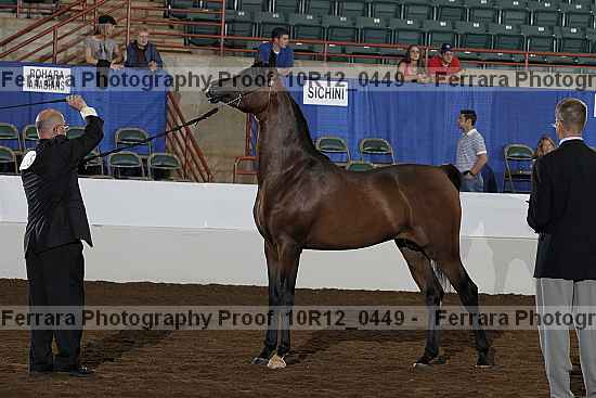 Proof Number 10r12_0449