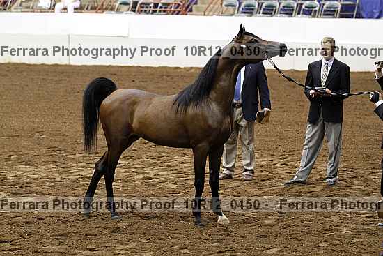 Proof Number 10r12_0450
