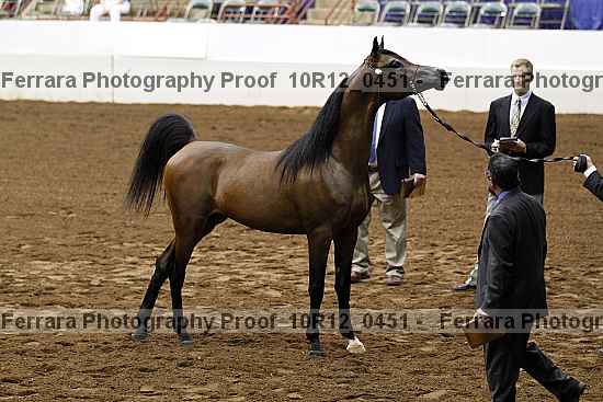 Proof Number 10r12_0451