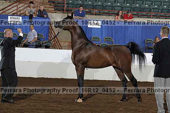 Proof Number 10r12_0452