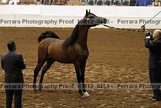 Proof Number 10r12_0453