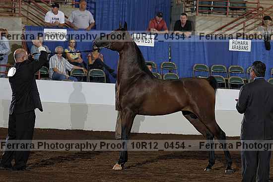 Proof Number 10r12_0454