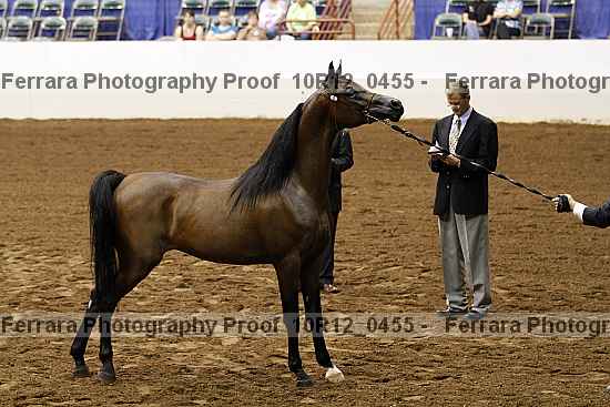 Proof Number 10r12_0455