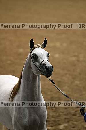 Proof Number 10r12_0457