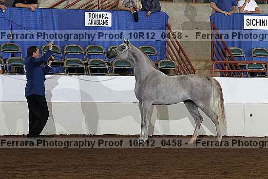 Proof Number 10r12_0458