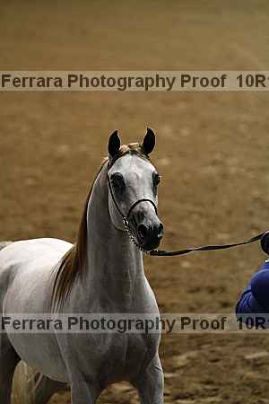 Proof Number 10r12_0459