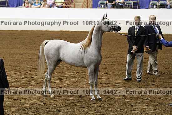 Proof Number 10r12_0462