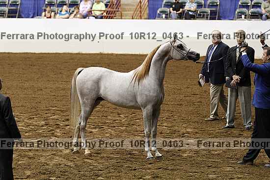 Proof Number 10r12_0463