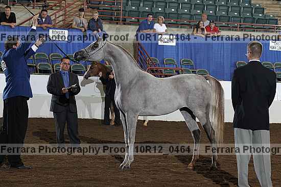Proof Number 10r12_0464