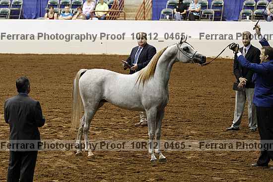 Proof Number 10r12_0465
