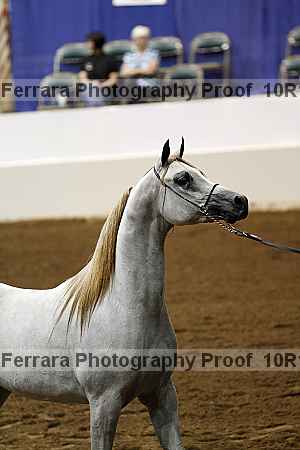 Proof Number 10r12_0466