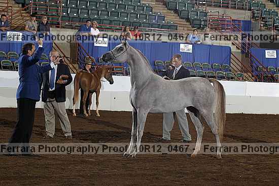 Proof Number 10r12_0467