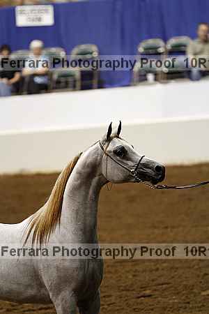 Proof Number 10r12_0468