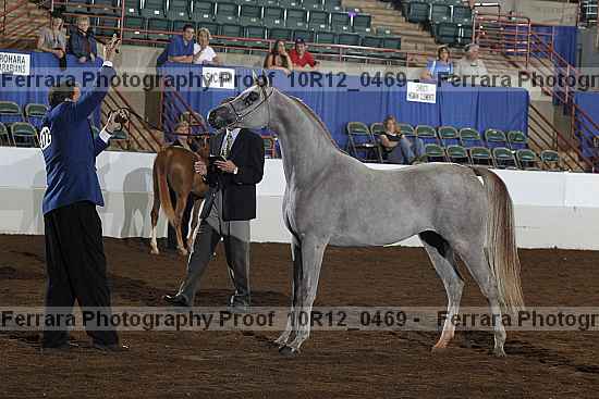 Proof Number 10r12_0469