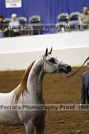 Proof Number 10r12_0470
