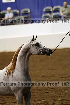 Proof Number 10r12_0471