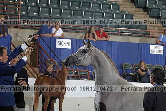 Proof Number 10r12_0472