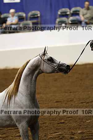 Proof Number 10r12_0473