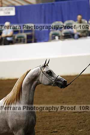 Proof Number 10r12_0474