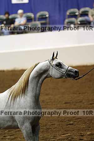 Proof Number 10r12_0475