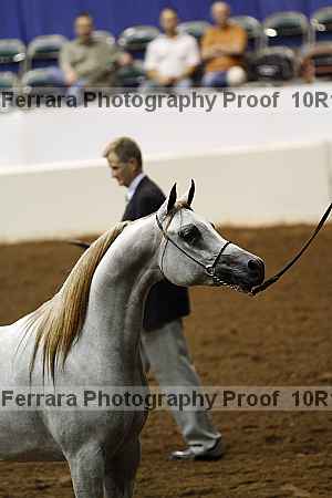 Proof Number 10r12_0476