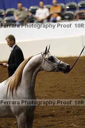 Proof Number 10r12_0477