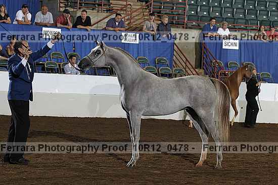 Proof Number 10r12_0478