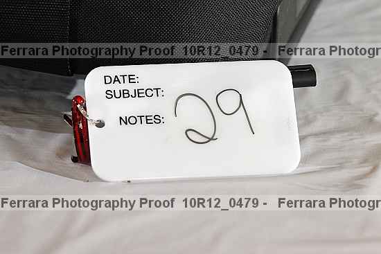 Proof Number 10r12_0479