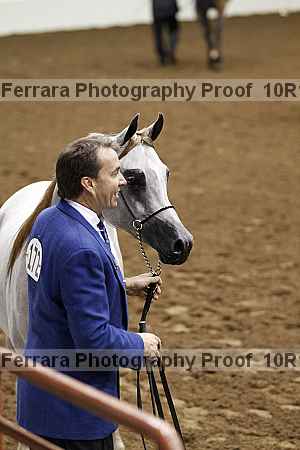 Proof Number 10r12_0480