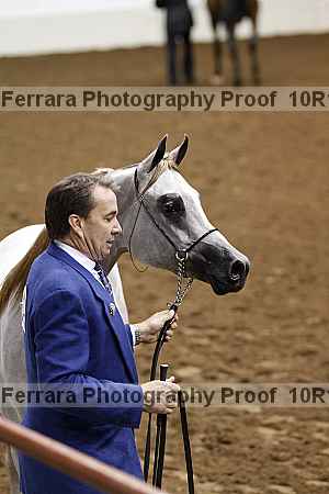 Proof Number 10r12_0481