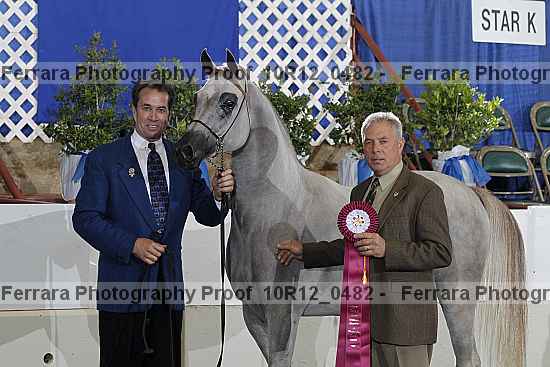 Proof Number 10r12_0482