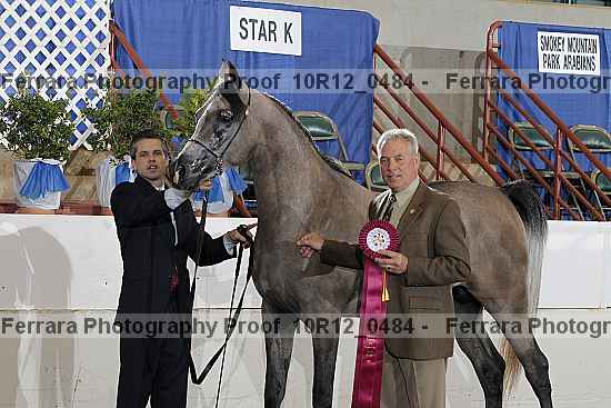 Proof Number 10r12_0484