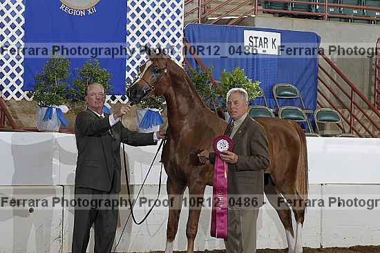 Proof Number 10r12_0486