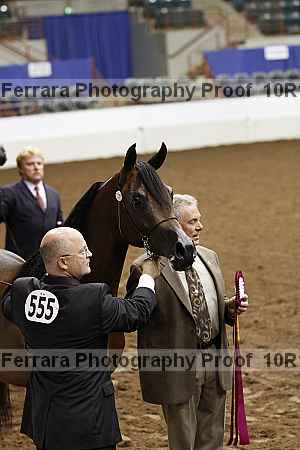 Proof Number 10r12_0488