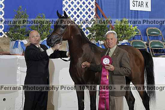 Proof Number 10r12_0490