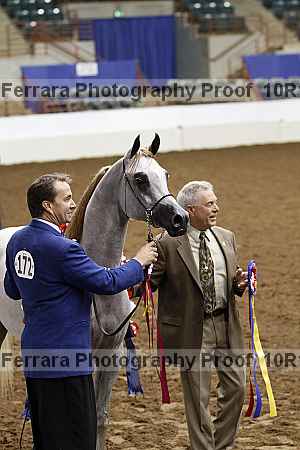 Proof Number 10r12_0497