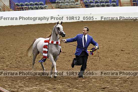 Proof Number 10r12_0505