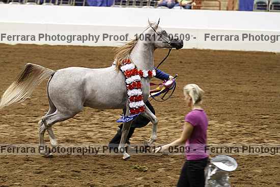 Proof Number 10r12_0509