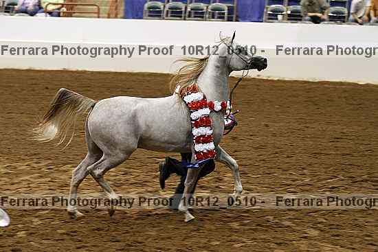 Proof Number 10r12_0510
